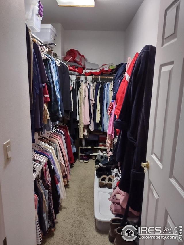 walk in closet with carpet floors