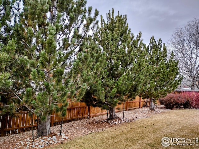 view of yard with fence