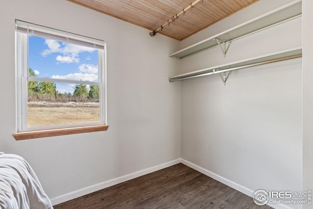 spacious closet featuring dark wood finished floors