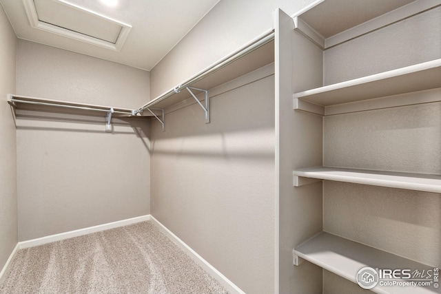 walk in closet with attic access and carpet