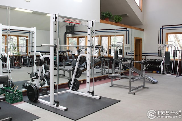 exercise room featuring a high ceiling