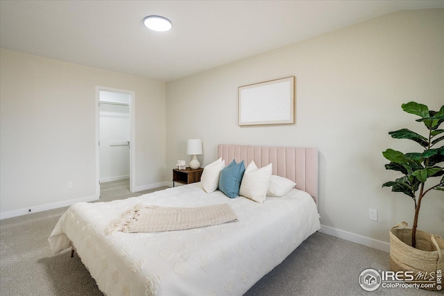 bedroom featuring carpet floors, baseboards, and a walk in closet