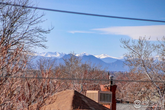 view of mountain feature