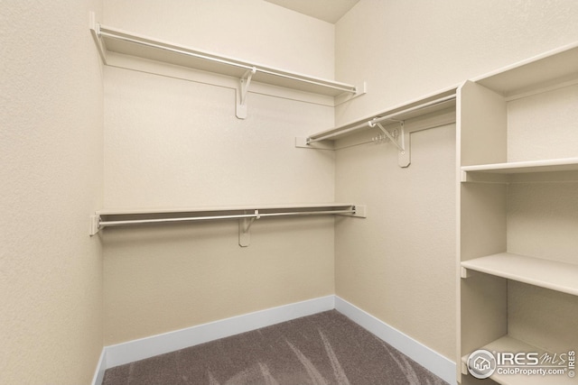 5850 Dripping Rock Ln, Fort Collins, CO 80528 - walk in closet featuring dark colored carpet