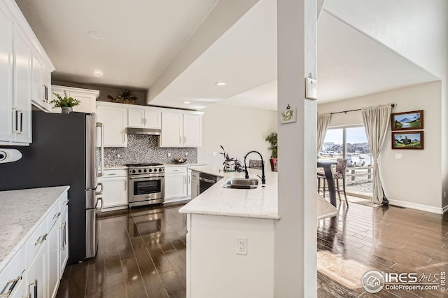 5541 Tullamore Ct, Timnath, CO 80547 - kitchen featuring stainless steel appliances, a sink, dark wood finished floors, under cabinet range hood, and white cabinetry