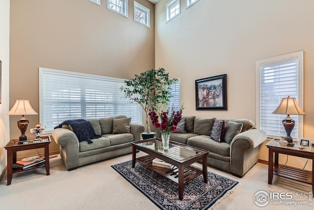 living area with carpet and a high ceiling