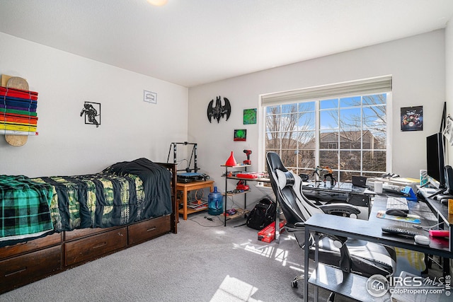 bedroom with carpet floors