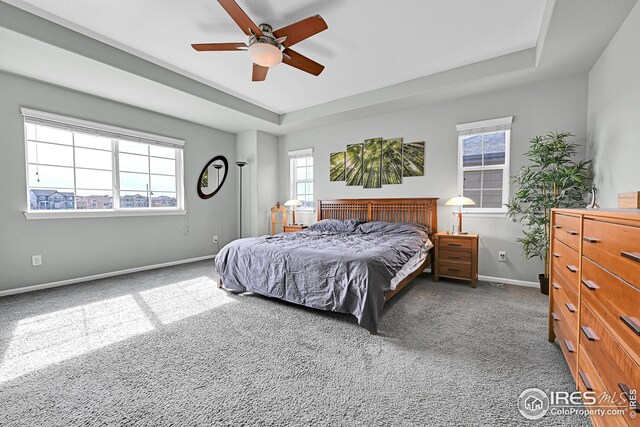 carpeted bedroom featuring baseboards, a raised ceiling, and multiple windows