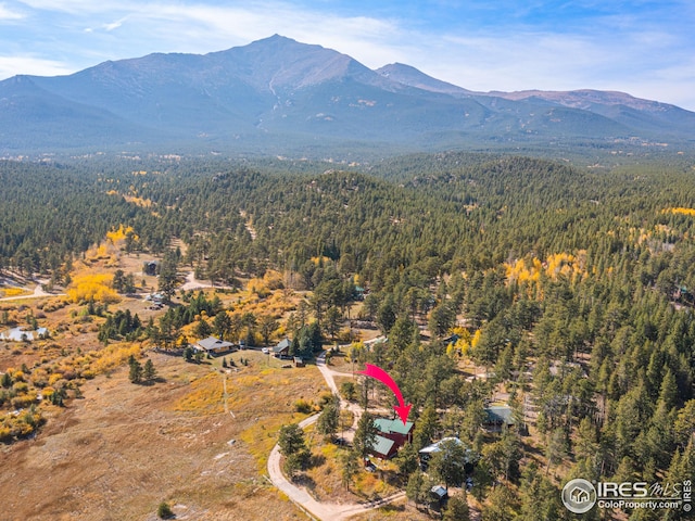 drone / aerial view with a mountain view and a view of trees