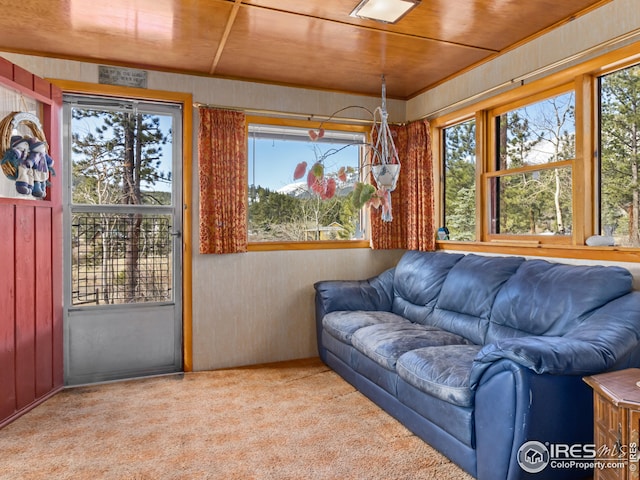 interior space with plenty of natural light, wood ceiling, and wood walls