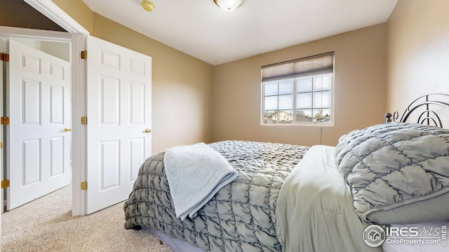 bedroom featuring carpet floors