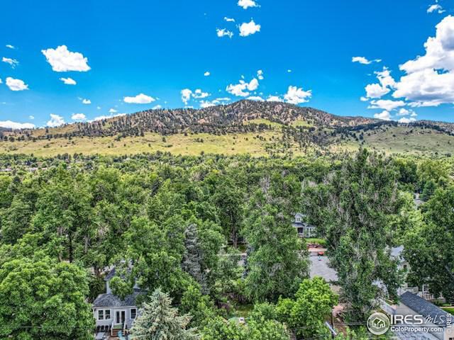 mountain view