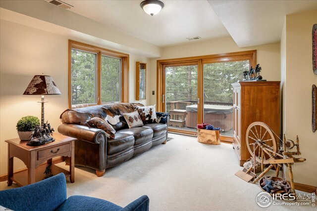 carpeted living room with visible vents, plenty of natural light, and baseboards