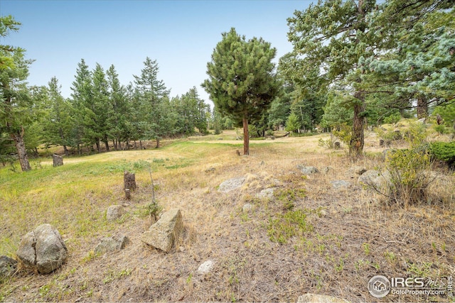 view of local wilderness