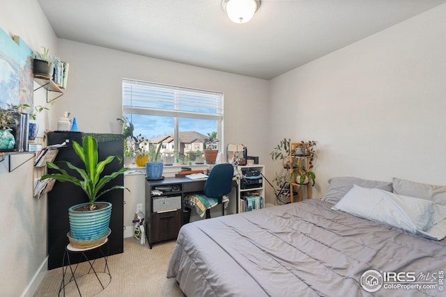 bedroom with carpet flooring