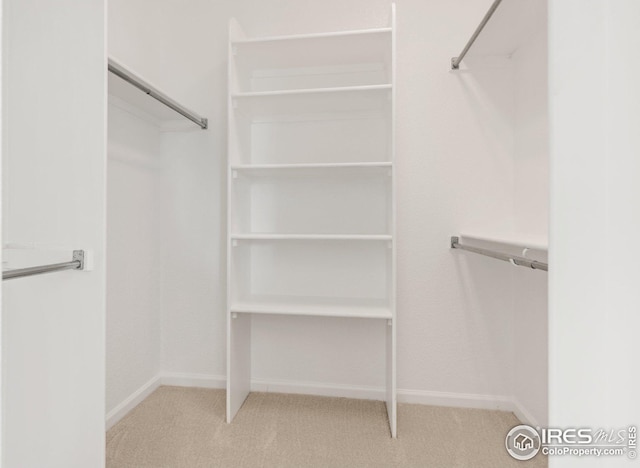 spacious closet featuring carpet