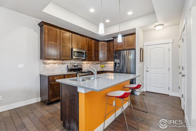 2556 Des Moines Dr Unit 103, Fort Collins, CO 80525 - kitchen featuring a tray ceiling, decorative backsplash, dark wood-style floors, stainless steel appliances, and a sink