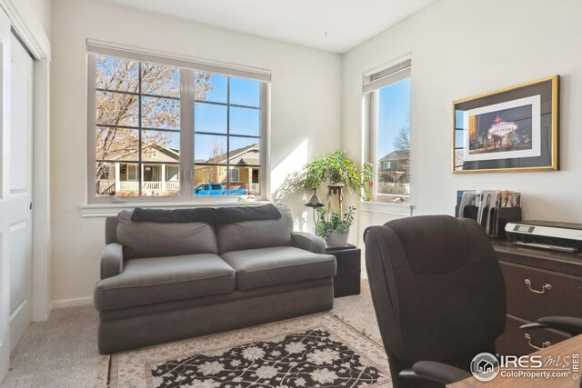 office space featuring baseboards, carpet, and a healthy amount of sunlight