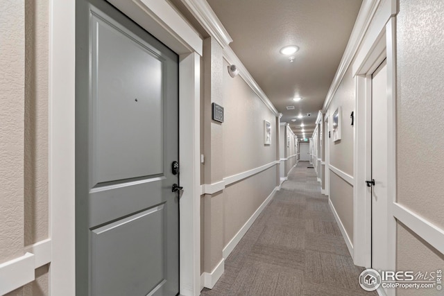 hallway with carpet and ornamental molding