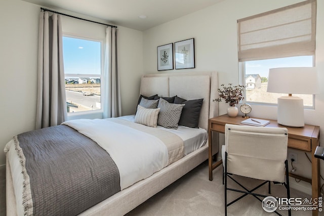 bedroom featuring carpet flooring