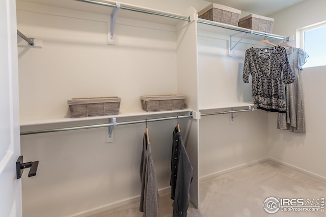 spacious closet featuring light carpet