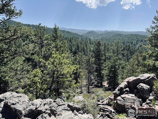 3765 Forest Road 195, Red Feather Lakes, CO 80545
