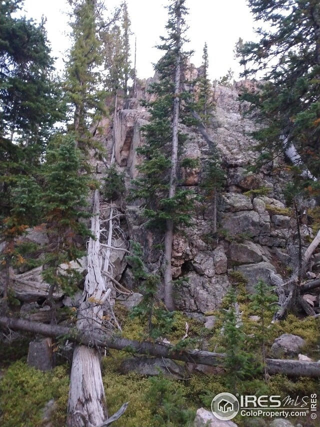 3765 Forest Road 195, Red Feather Lakes, CO 80545