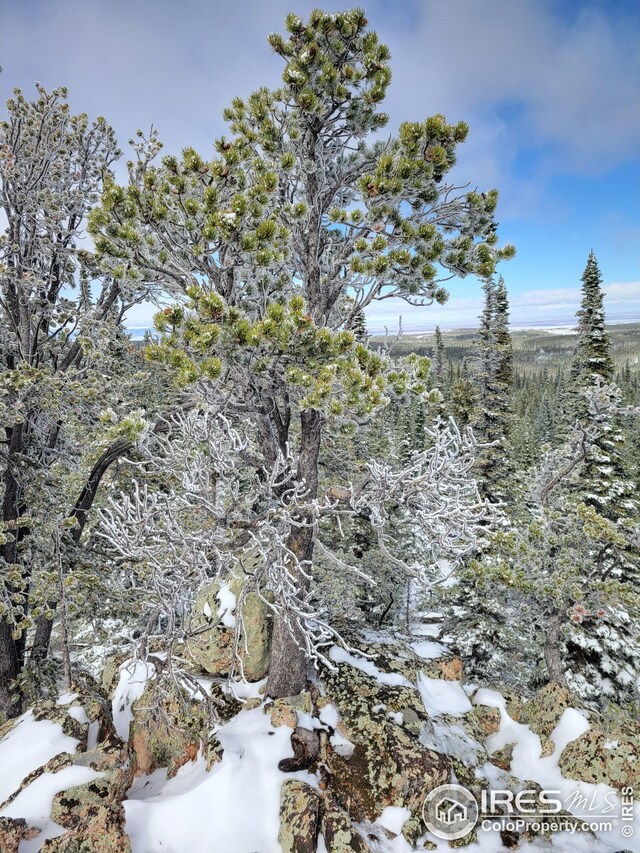 3765 Forest Road 195, Red Feather Lakes, CO 80545