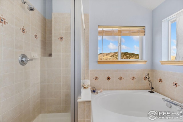 bathroom featuring a wealth of natural light, a stall shower, and a bath