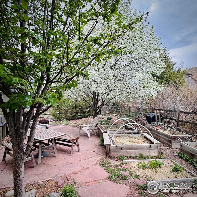 107 Bohn Ct, Lyons, CO 80540 - view of yard with a garden and a patio