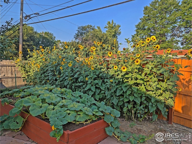 view of yard with a vegetable garden and fence