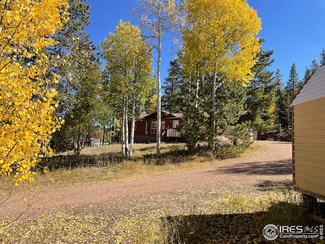 view of yard with driveway