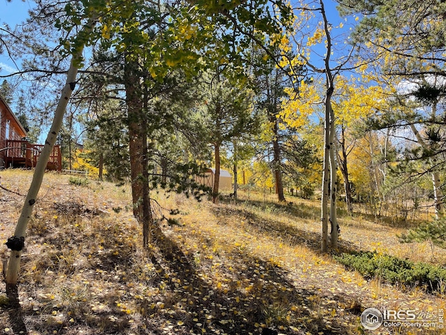 view of local wilderness