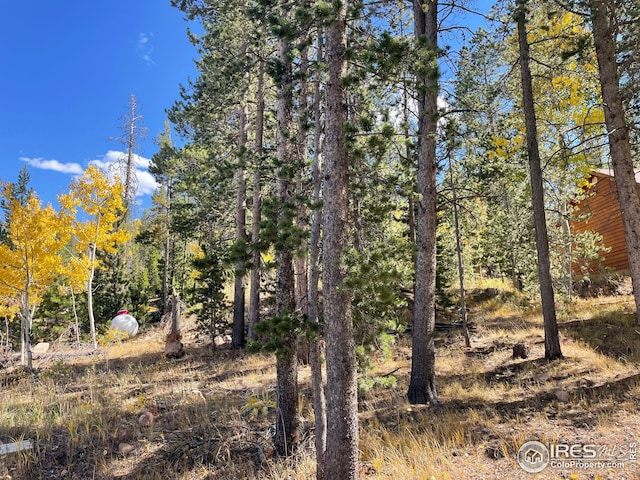 view of local wilderness featuring a forest view