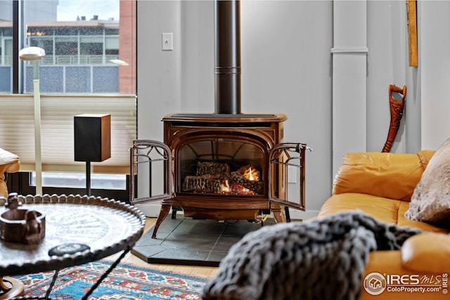 living area with a wood stove