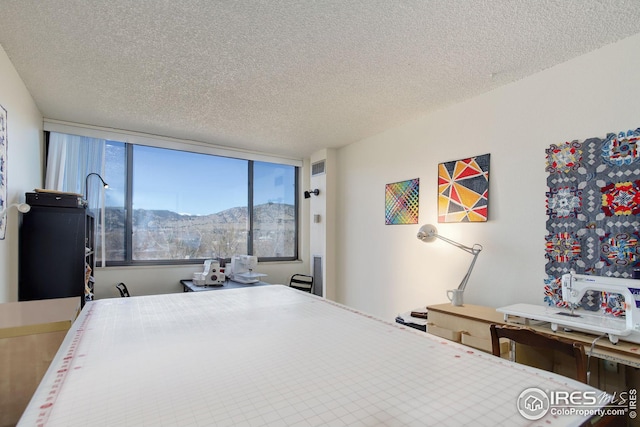 bedroom featuring a mountain view and a textured ceiling