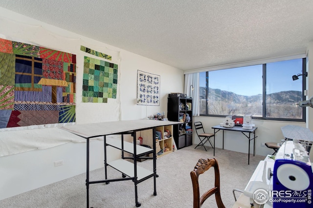 carpeted office space featuring a mountain view and a textured ceiling