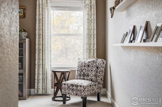 sitting room with carpet flooring and a textured wall