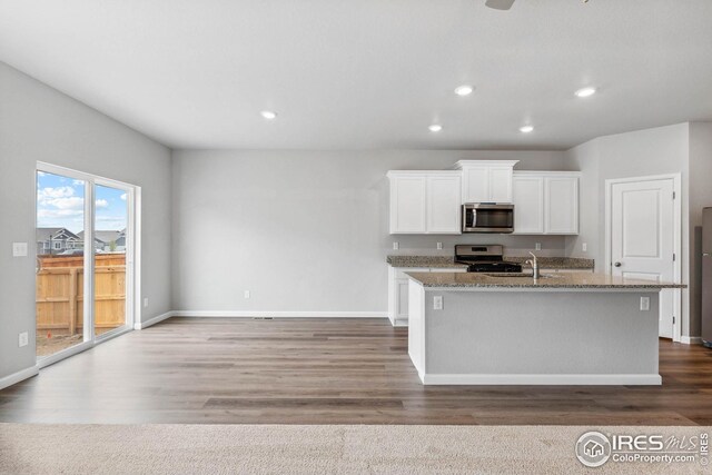 952 Cascade Falls St, Severance, CO 80550 - kitchen with stainless steel appliances, stone counters, white cabinets, recessed lighting, and wood finished floors