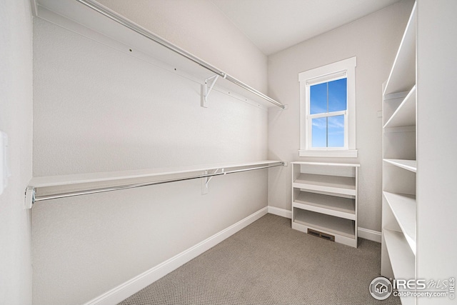 spacious closet featuring carpet floors and visible vents
