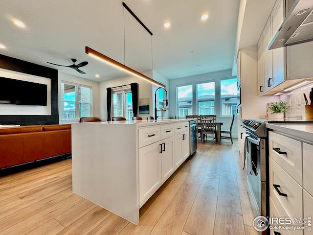 kitchen with open floor plan, appliances with stainless steel finishes, under cabinet range hood, and light wood finished floors