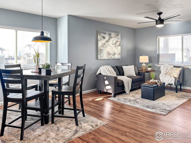 dining space with baseboards, a wealth of natural light, wood finished floors, and a ceiling fan