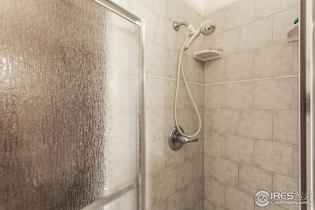 701 43rd Ave, Greeley, CO 80634 - room details with a stall shower