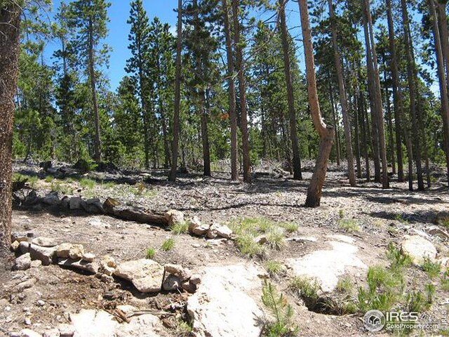 1244 Mosquito Dr, Red Feather Lakes, CO 80545