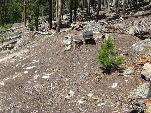 1244 Mosquito Dr, Red Feather Lakes, CO 80545
