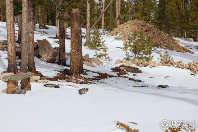 1244 Mosquito Dr, Red Feather Lakes, CO 80545