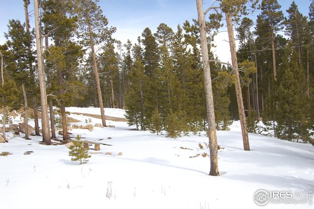 1244 Mosquito Dr, Red Feather Lakes, CO 80545