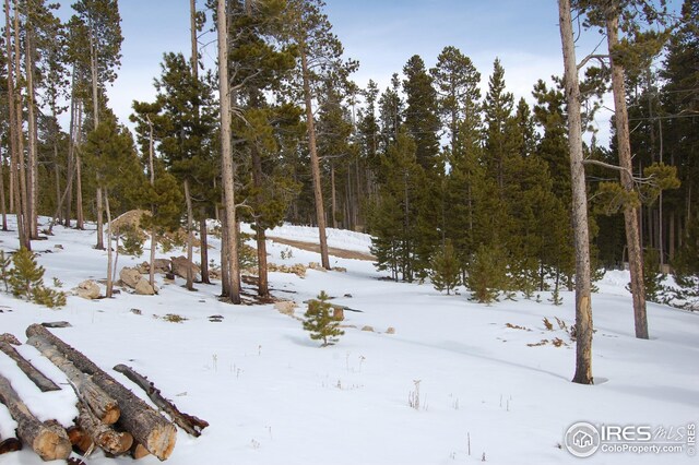 1244 Mosquito Dr, Red Feather Lakes, CO 80545