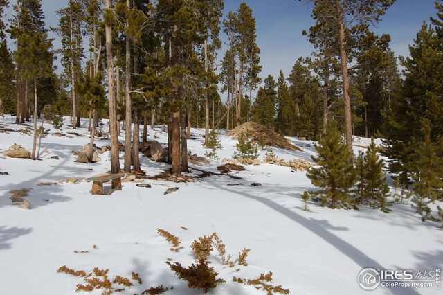 1244 Mosquito Dr, Red Feather Lakes, CO 80545