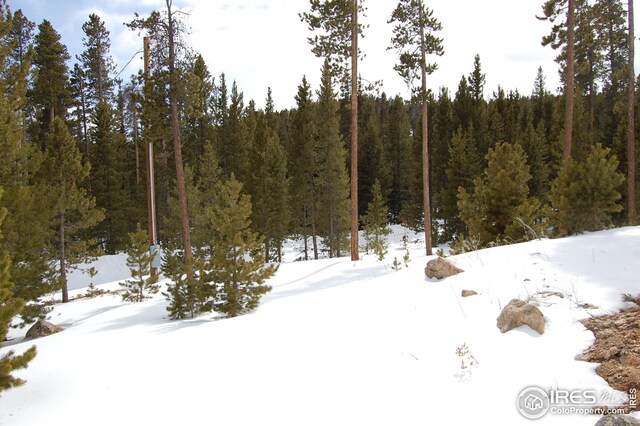 1244 Mosquito Dr, Red Feather Lakes, CO 80545